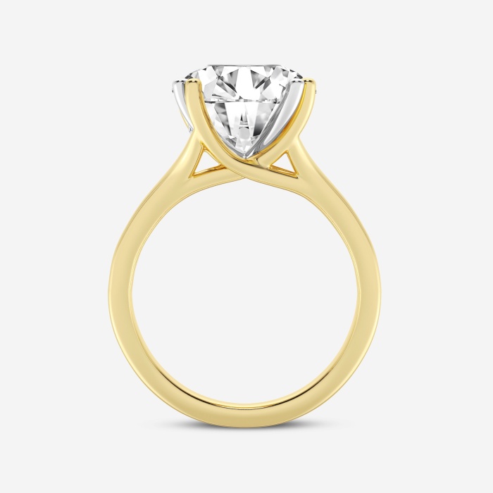 5 ctw Round Lab Grown Diamond Two Tone Double Prong Hidden Halo Engagement Ring