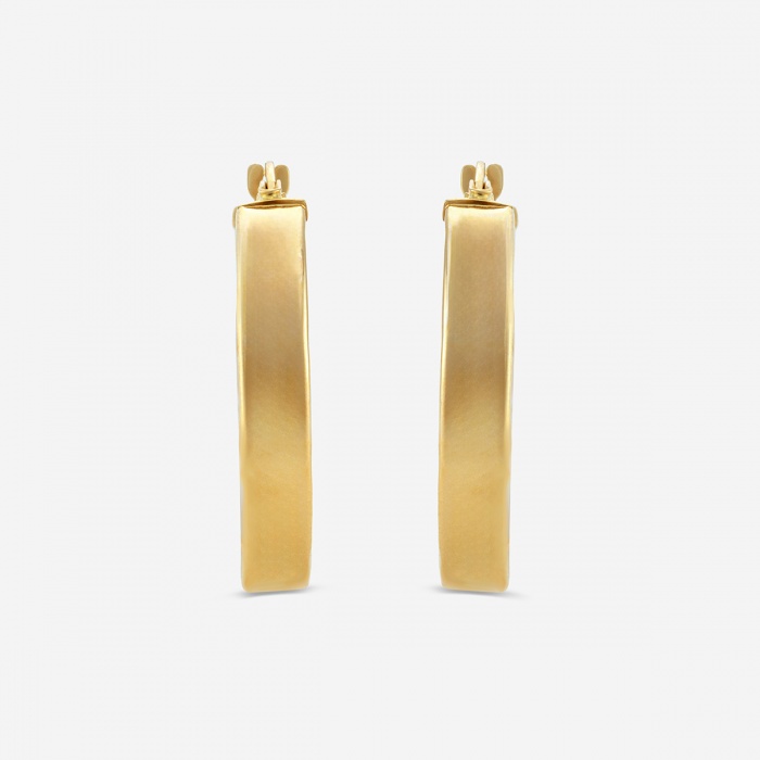 Inside Out Two Color Round Hoop Earrings